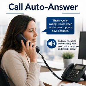 Virtual Office AUTO CALL ANSWERING Call Auto Answer service